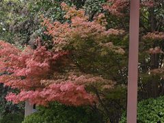 -麗枫酒店(西安大明宫龙首原地铁站店)