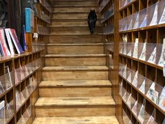 -猫的天空之城概念书店(苏州平江店)