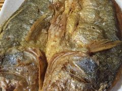 -大富蚝乌东哥饭店·石锅鱼杂·柠檬鸭(革新路店)