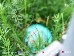 -密苑云顶乐园(云顶滑雪场)