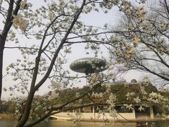 -中国湿地博物馆