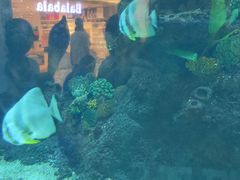 -鸿通城购物中心