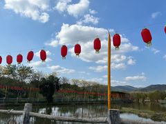 -天适樱花悠乐园