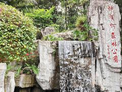 -广州市流溪河国家森林公园