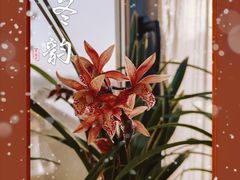 -浦江城市生活广场(江月路店)