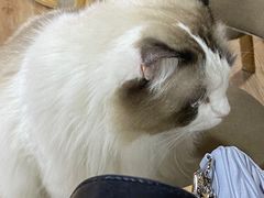 -白兔子密室(长寿路店)
