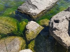 -大理洱海