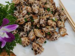 盐焗花螺-有腥气私房菜·寻味顺德
