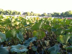 -小王府(什刹海店)