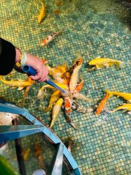 -酷嗒动物文化乐园(cutezoo西溪乐天城店)