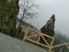 -水池山公园