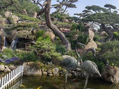 -罗红摄影艺术馆