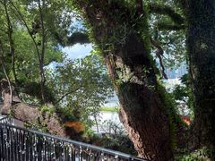 -澳门圣地牙哥古堡酒店