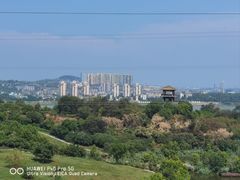 -张坝桂圆林公园