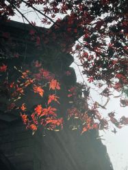 -颐和宾馆宴会厅