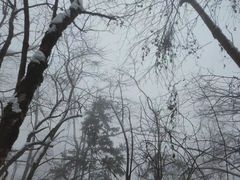 -九峰山