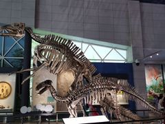 -湖南省地质博物馆