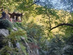 -莫干山风景区