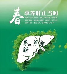 -雅曼妮spa美容养生