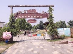 -田园东方蜜桃村的田野营地