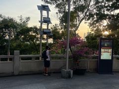 -深圳国际园林花卉博览园