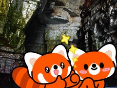 -龙爪山国家地质公园