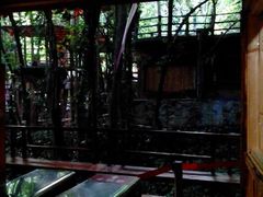 -天门沟九州驿站树上汤泉