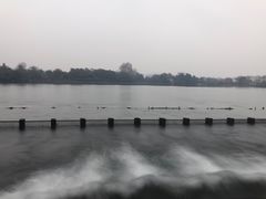 -西湖外事游船(花港观鱼码头)