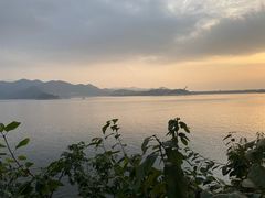 -望湖烤鱼