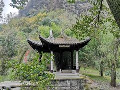 -桐乡植物园