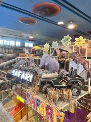 -卡通尼·Safari非洲探索乐园·生日会(金桥国际商业广场店)