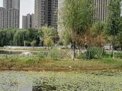 -仙女湖公园