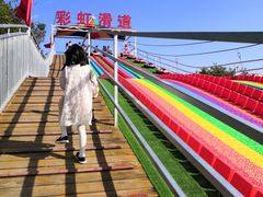 -铜川市金锁关石林