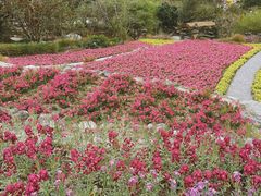 -广东天露山旅游度假区