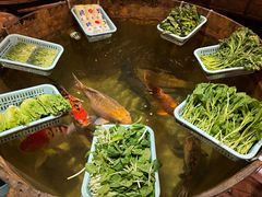 -石岐佬中山菜馆(张溪店)