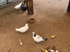 -珠海海泉湾神秘岛亲子乐园