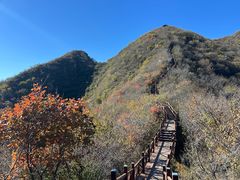 -大岭沟猕猴桃谷风景区