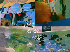 -泉城欧乐堡海洋极地世界