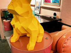 -百好乐宠物友好餐厅(朝外大街店)