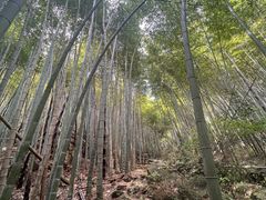 -莫干山风景区