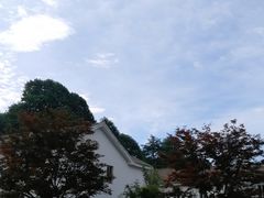 -四明山国家森林公园