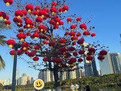 -万绿园