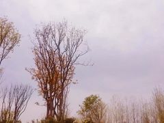 -府河摄影公园