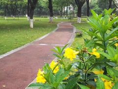 -二沙岛艺术公园