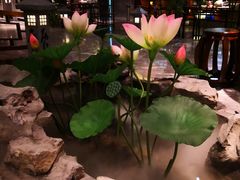 -九炉分座(五彩店)