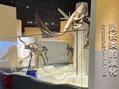 -国家自然博物馆