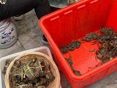 -水岸居湖景农家乐·阳澄湖大闸蟹