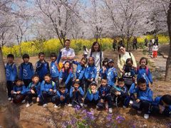 协和双语学校(闵行校区)-协和双语学校(虹桥校区)