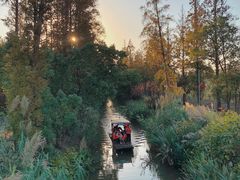 -上海长兴岛郊野公园