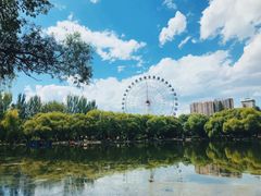 -青城公园